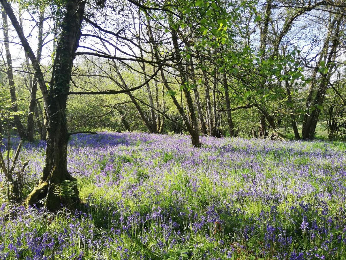 Wray Valley Moretonhampstead Zewnętrze zdjęcie