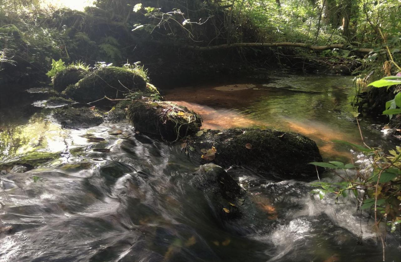 Wray Valley Moretonhampstead Zewnętrze zdjęcie