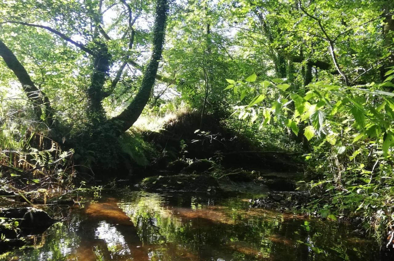 Wray Valley Moretonhampstead Zewnętrze zdjęcie