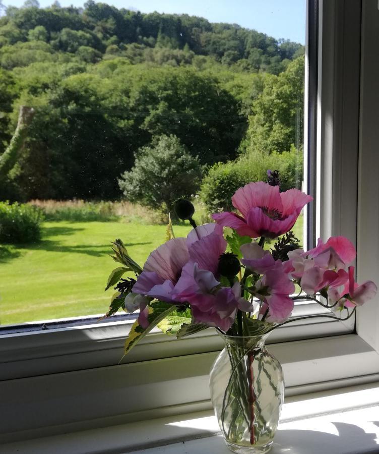 Wray Valley Moretonhampstead Zewnętrze zdjęcie
