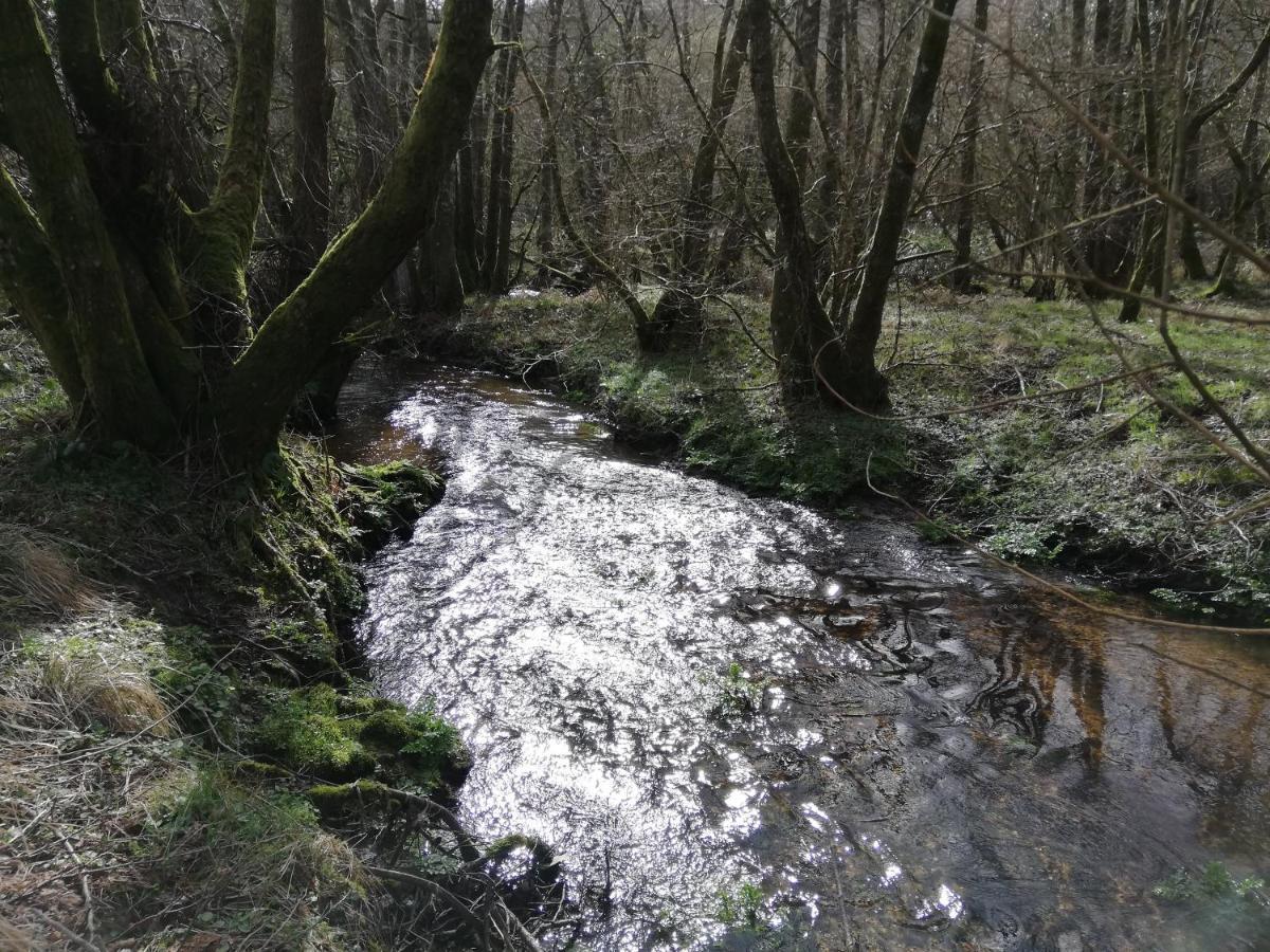 Wray Valley Moretonhampstead Zewnętrze zdjęcie
