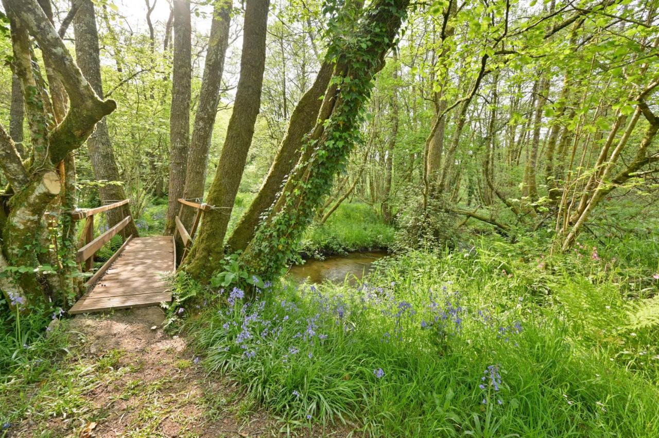 Wray Valley Moretonhampstead Zewnętrze zdjęcie