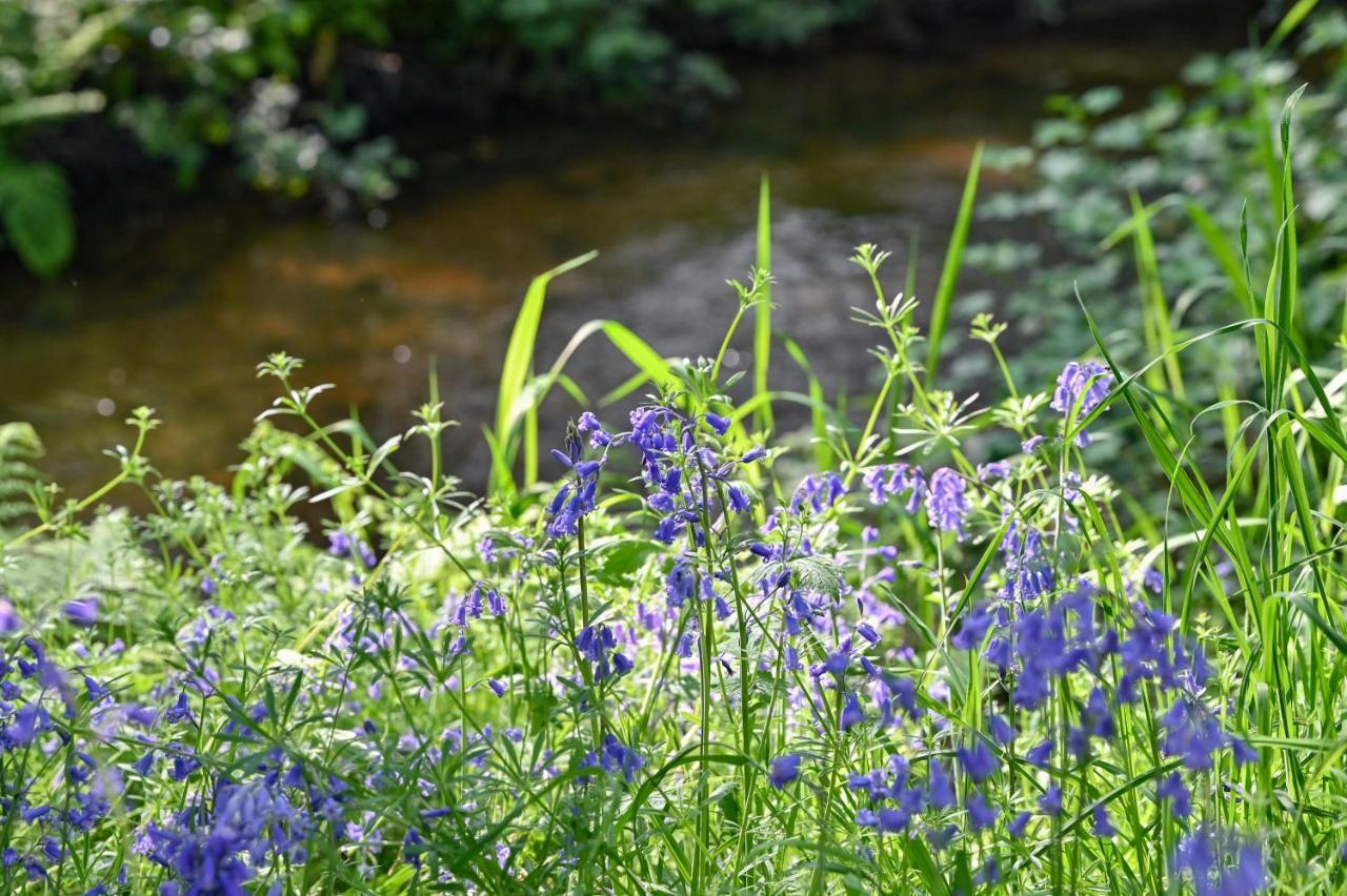 Wray Valley Moretonhampstead Zewnętrze zdjęcie