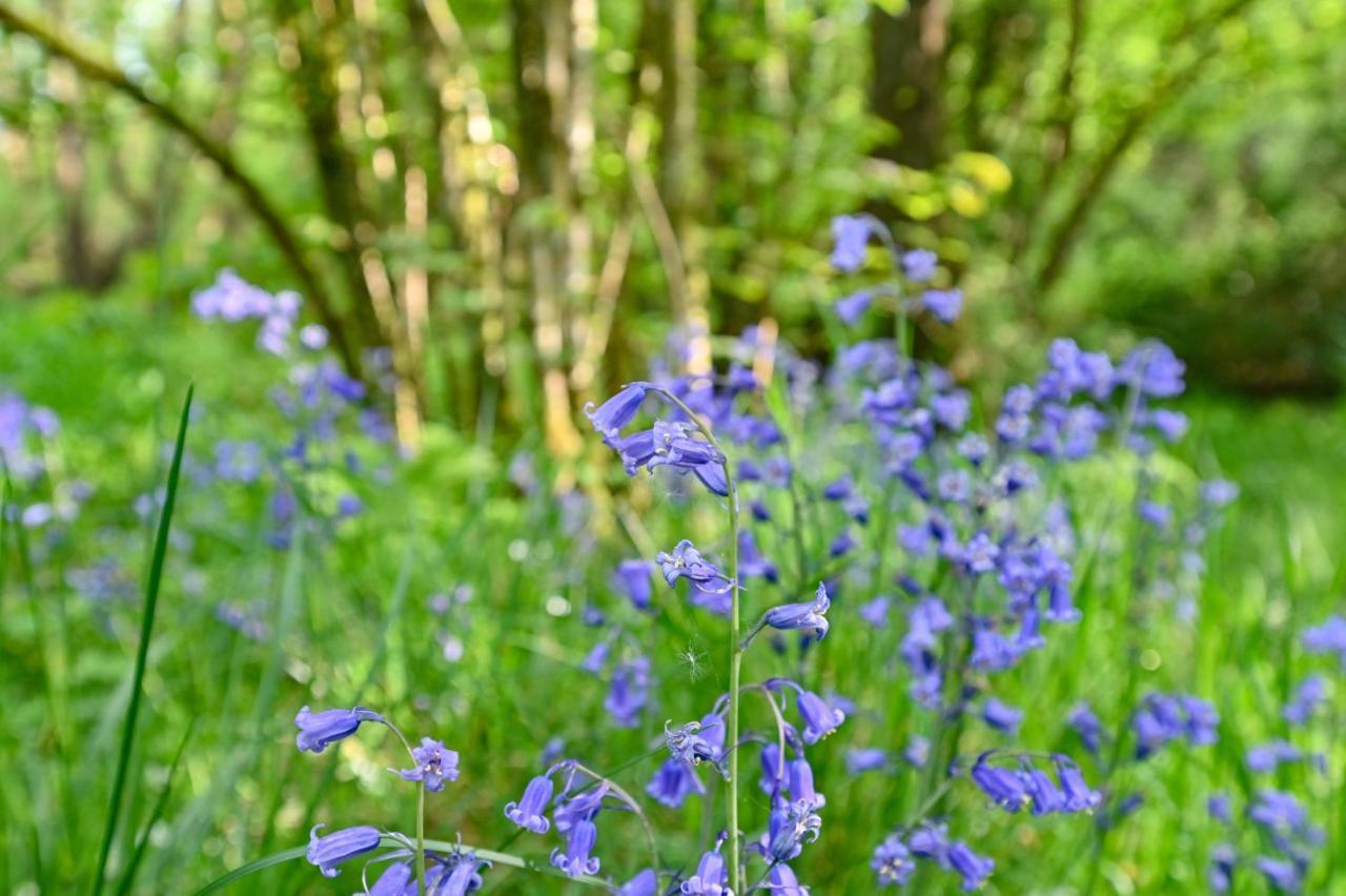 Wray Valley Moretonhampstead Zewnętrze zdjęcie